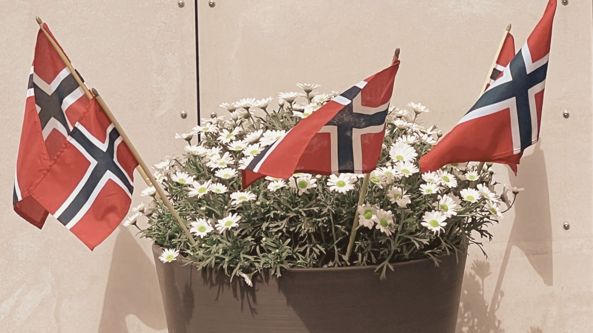 Norske flagg og blomster