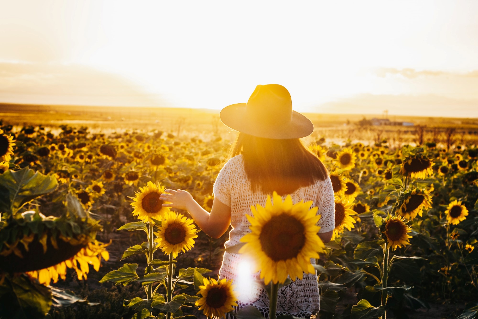 En jente med hatt som står i en eng med solsikker i solnedgang