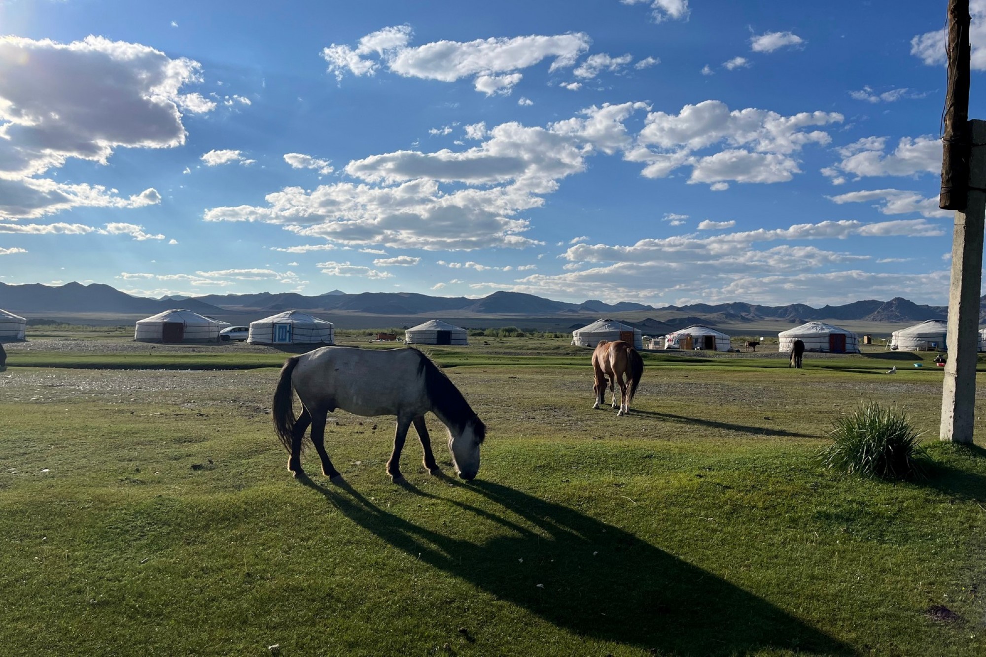 Hest og Ger i Mongolia
