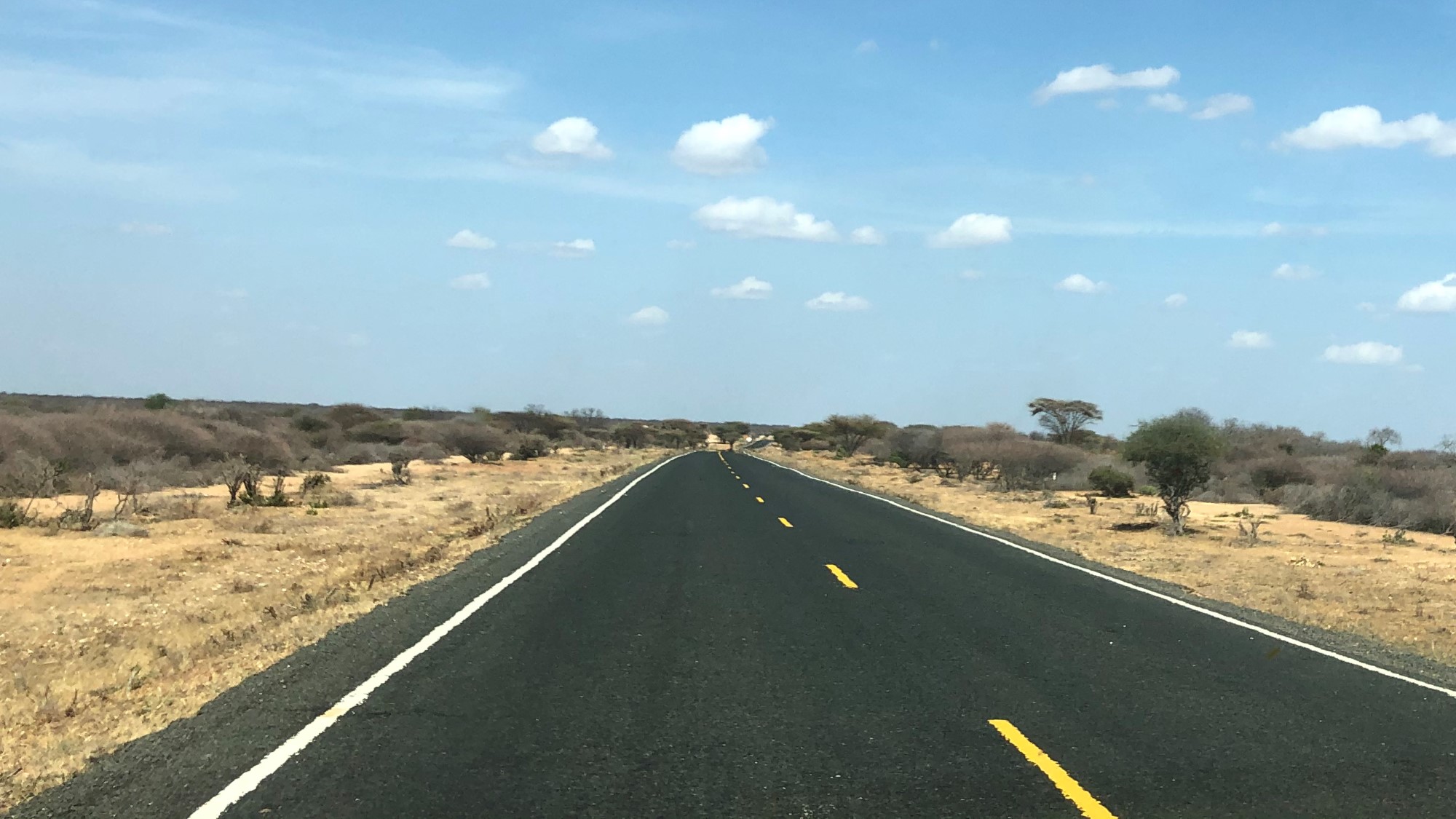 Motorvei mot horisonten på savannen