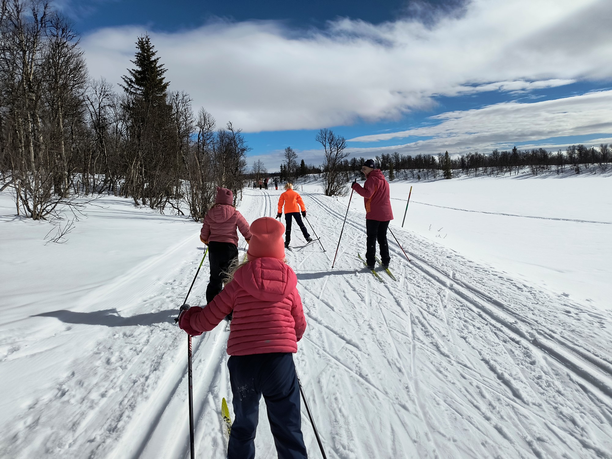 Barn på ski