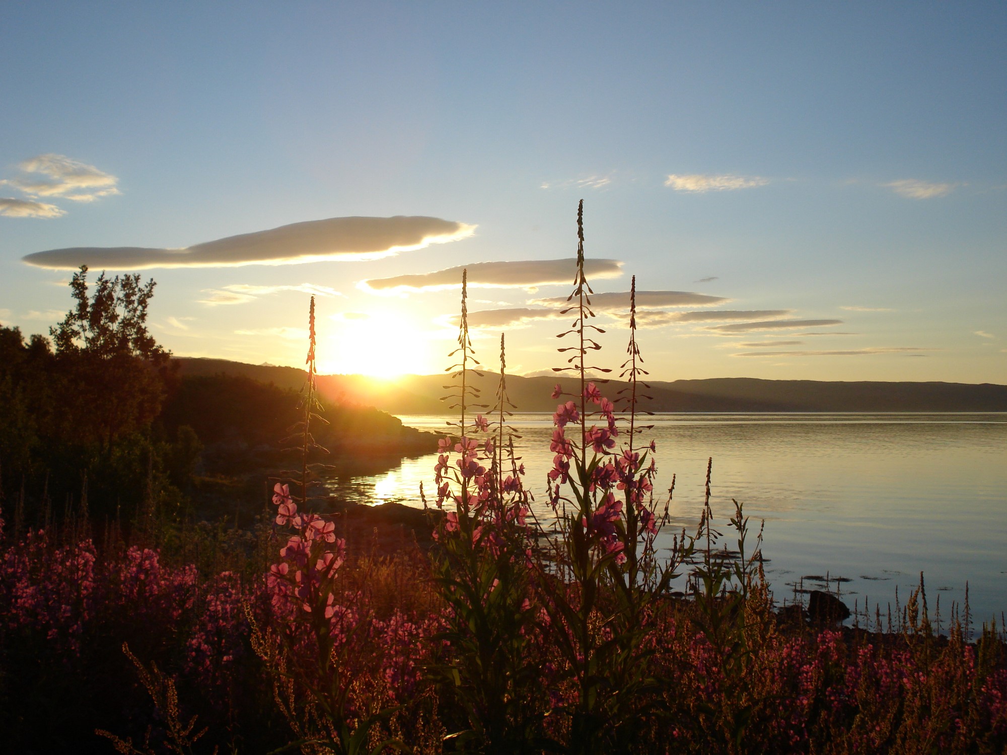 Sommersol ved fjorden