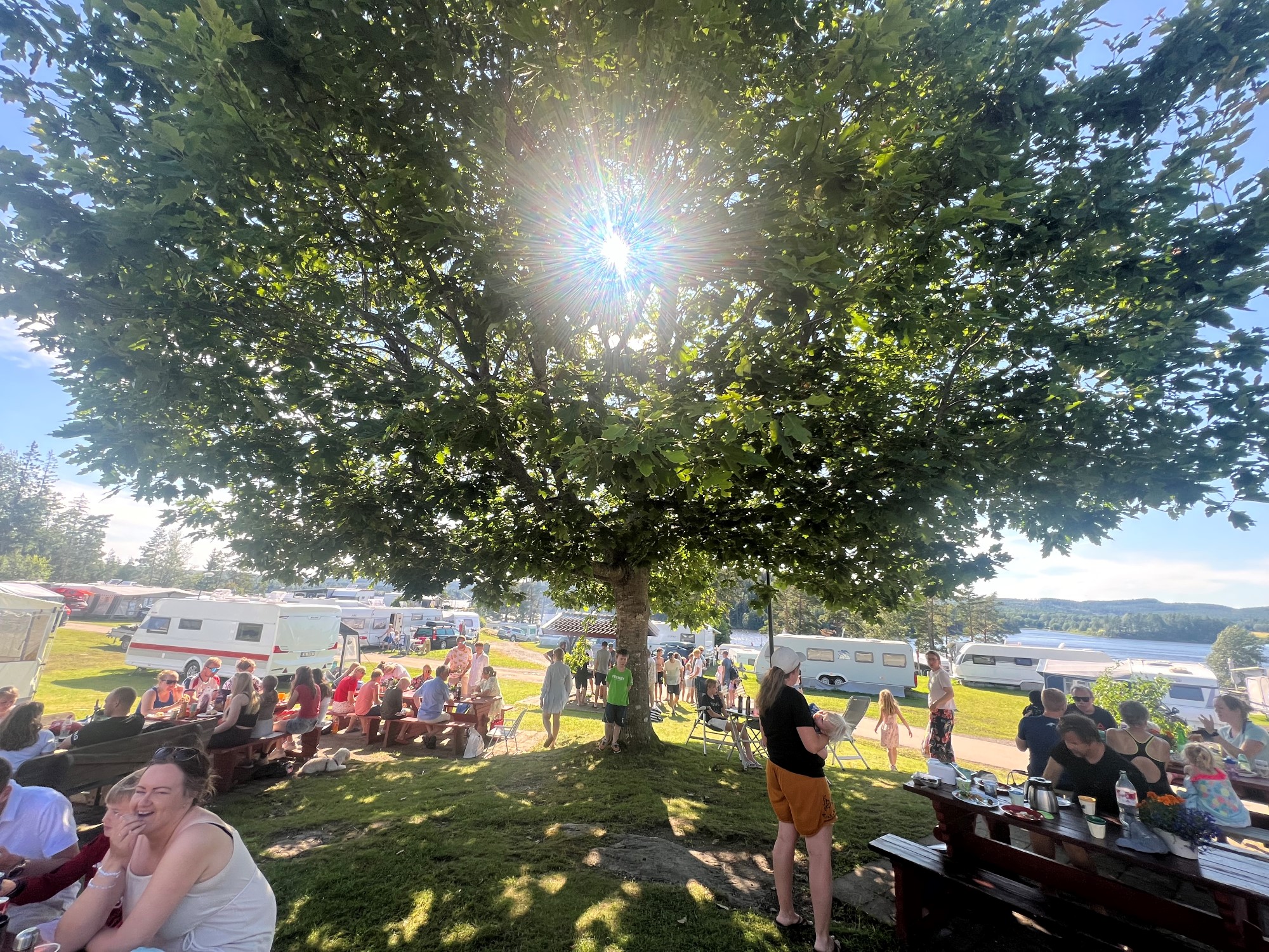 Bilde av sommer på Fangekasa.