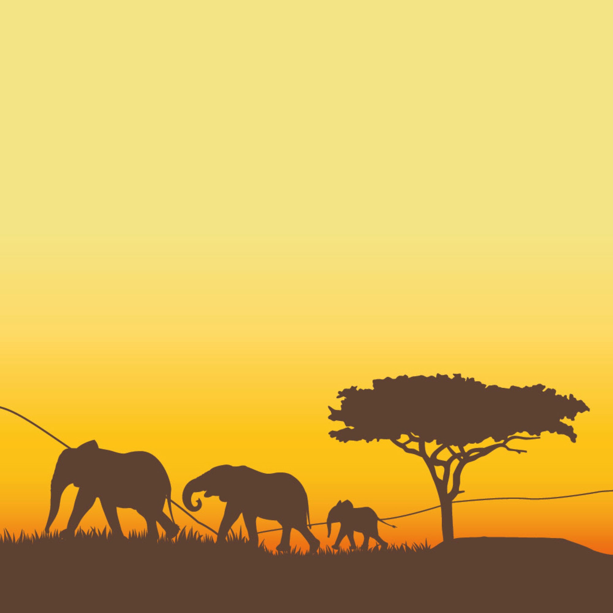 Trær og dyr på savanne. Grafisk illustrasjon.