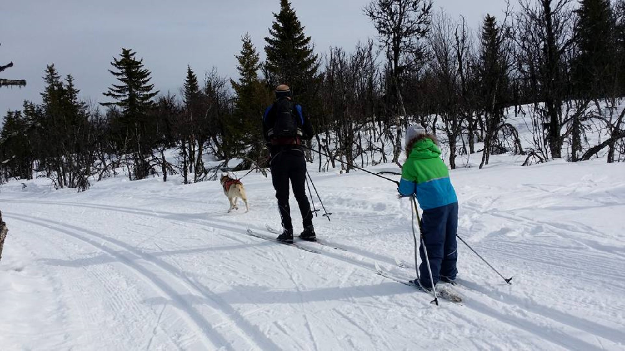Skitur på påskeleir