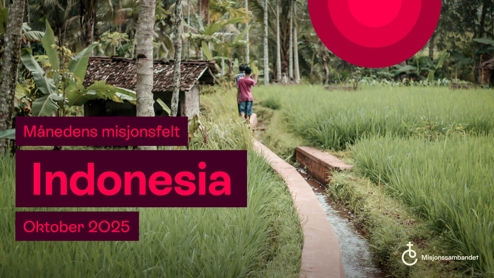 Tekstplakat månedens misjonsfelt oktober 2025 Indonesia. Bilde av person i åker