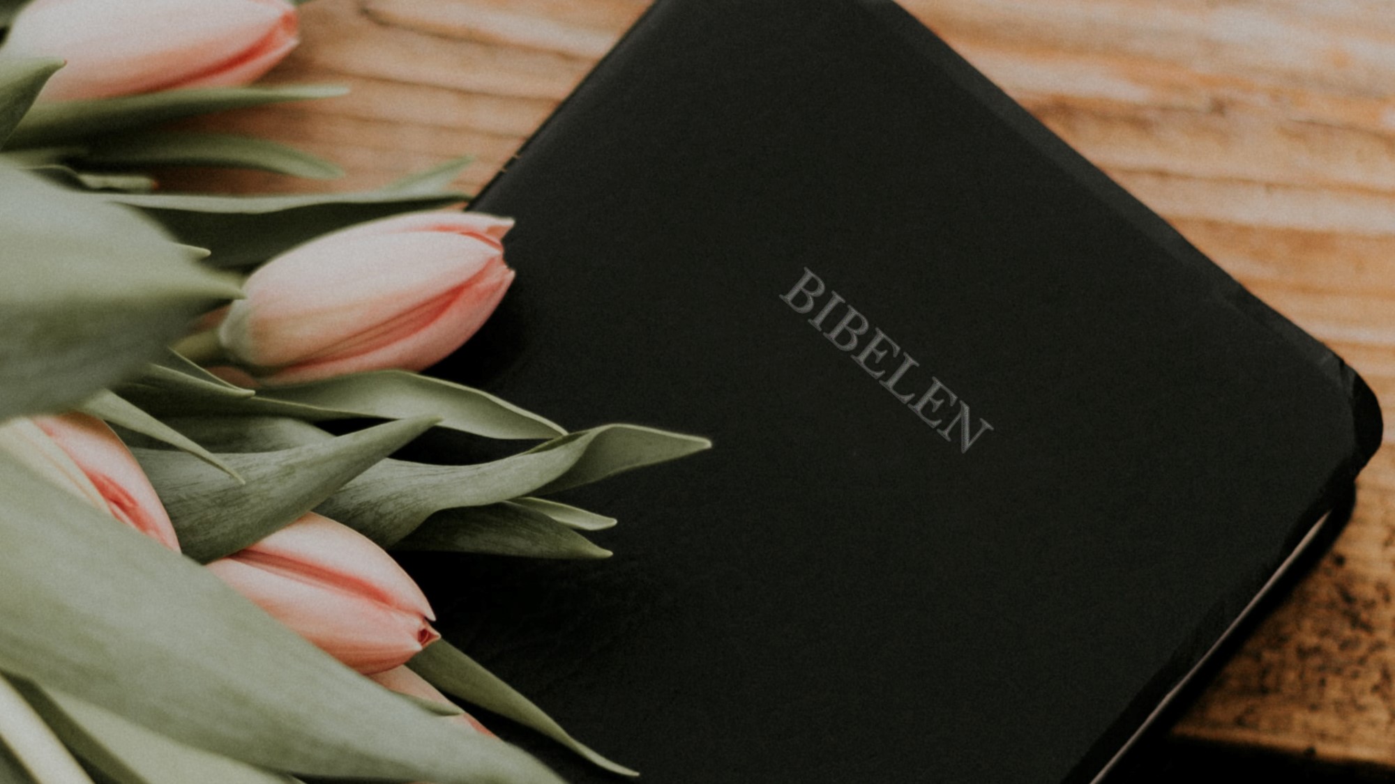 Tulipaner og bibel