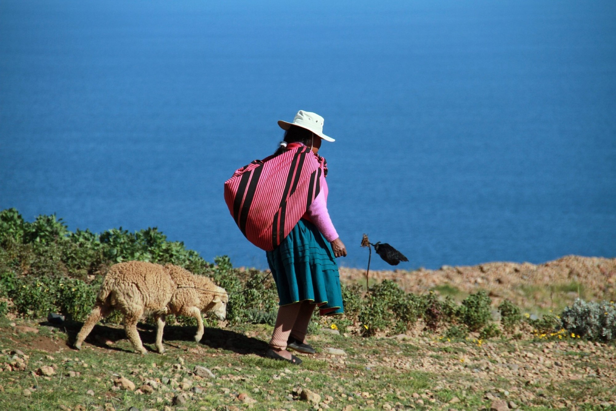 Dame ved Titicacasjøen