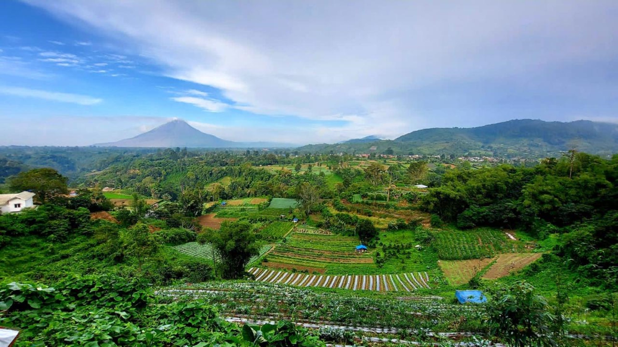 Landskap Indonesia