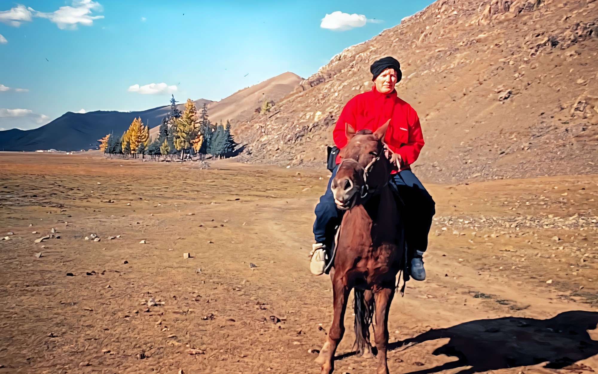 Hest Mongolia
