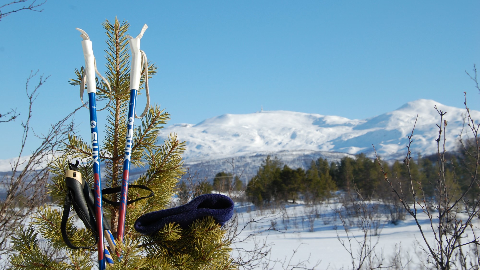 Skistaver mot snødekt fjell