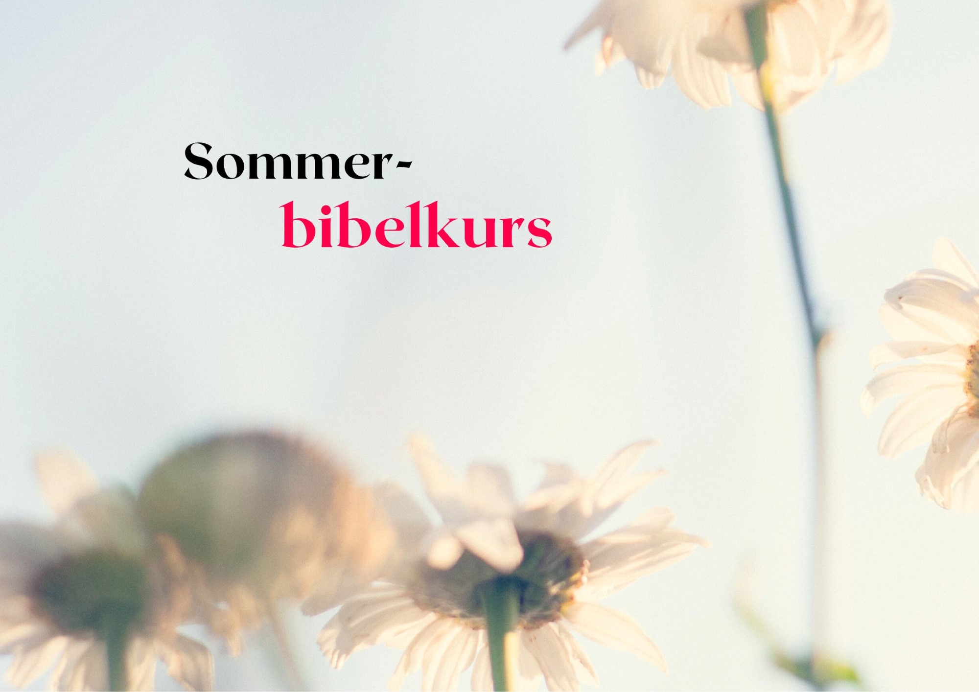 Sommerbibelkurs