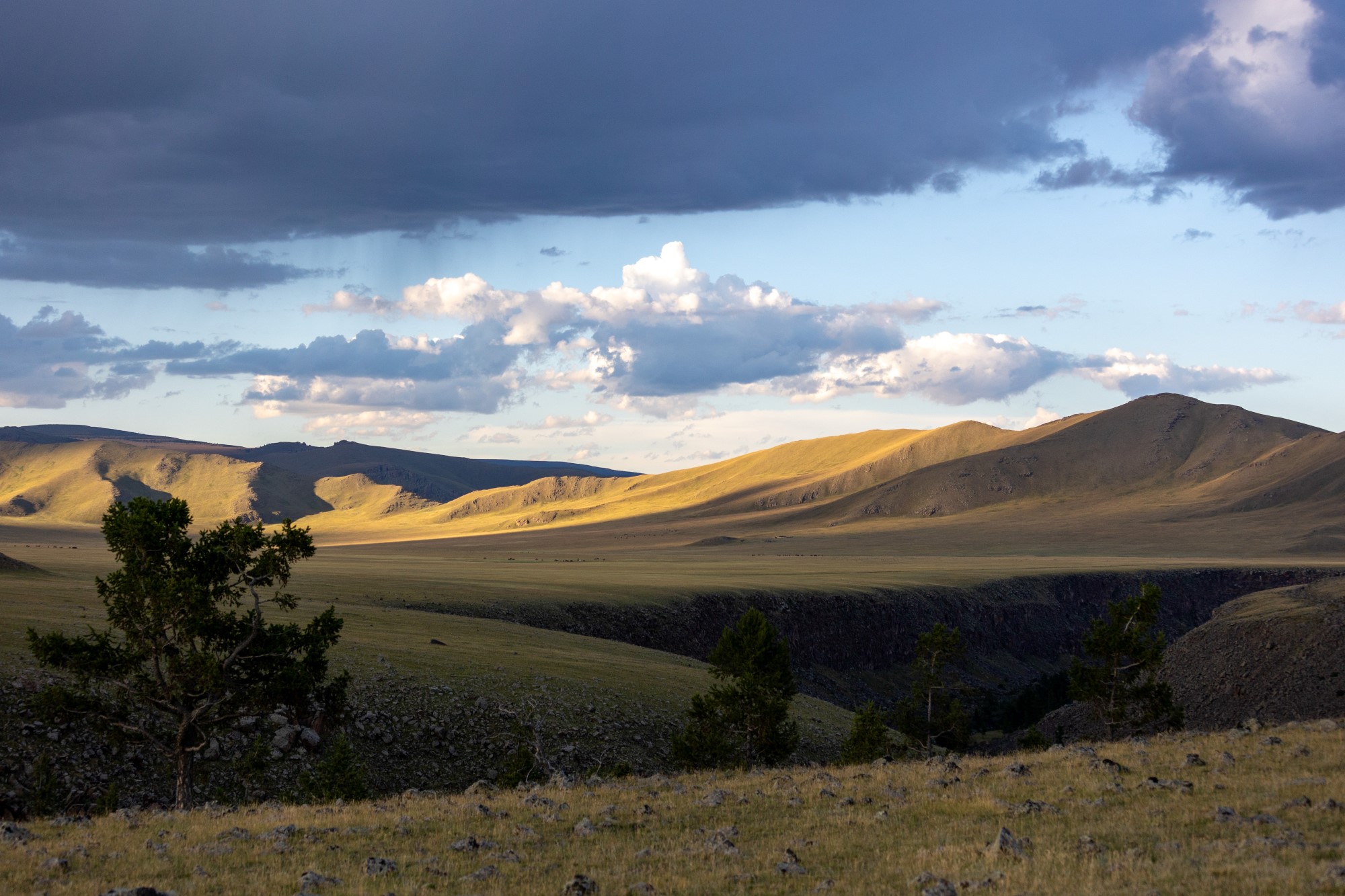 Fjell i Mongolia på sommertid