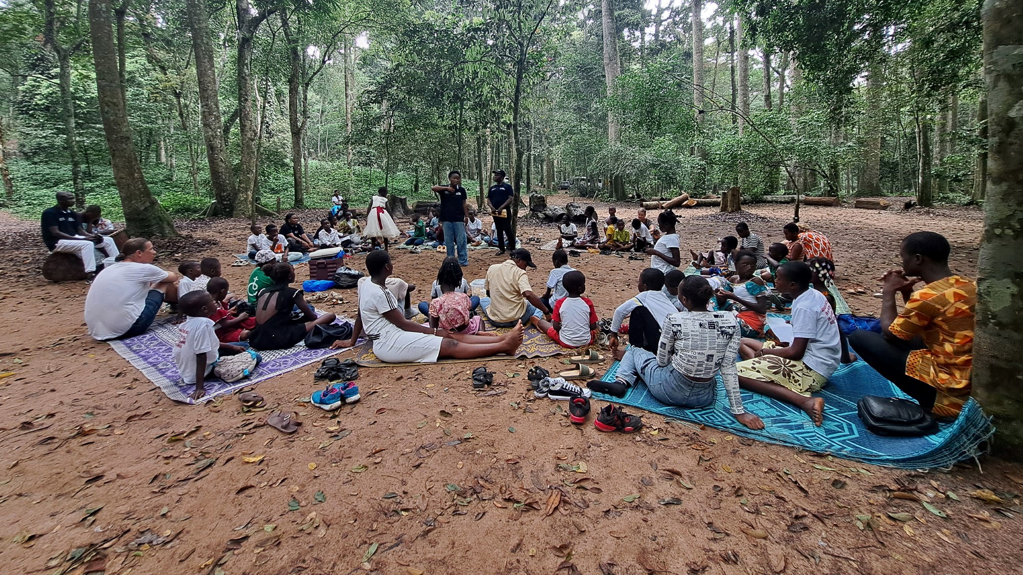 Samling i regnskogen