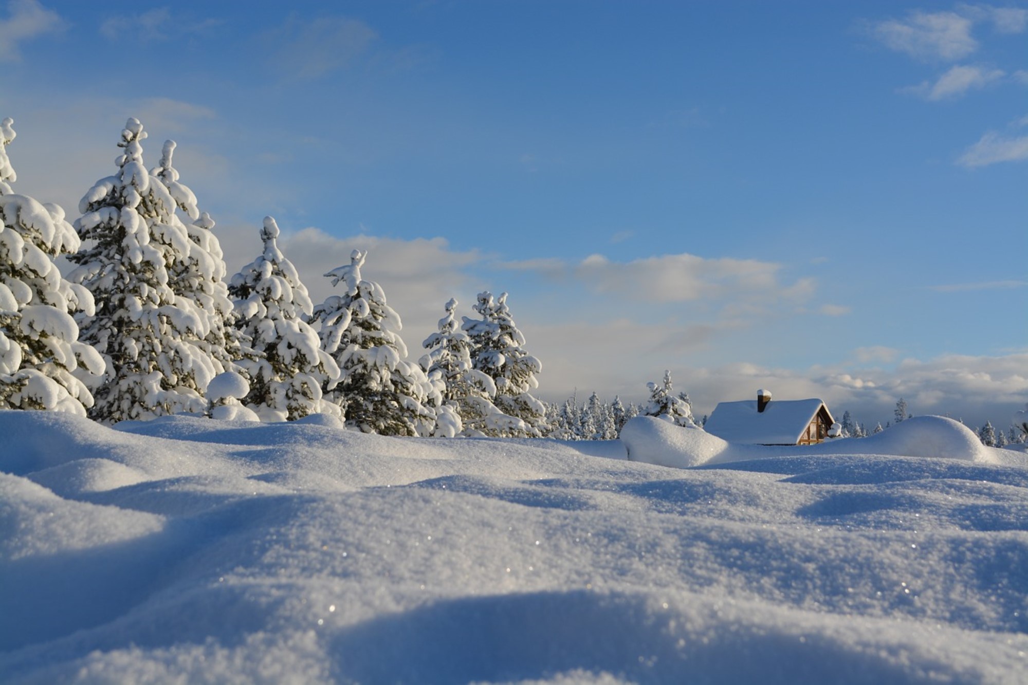 Snølandskap