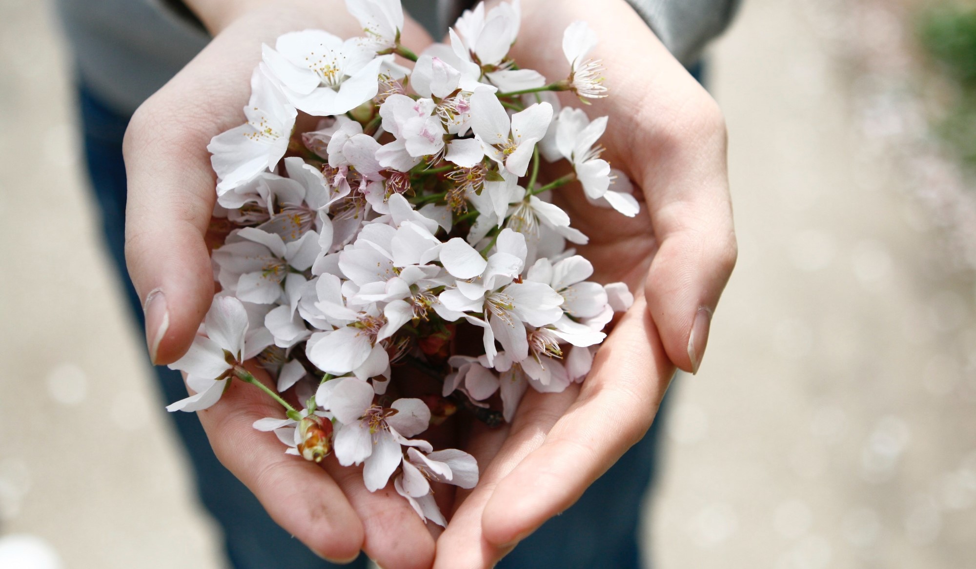 Håndblomster