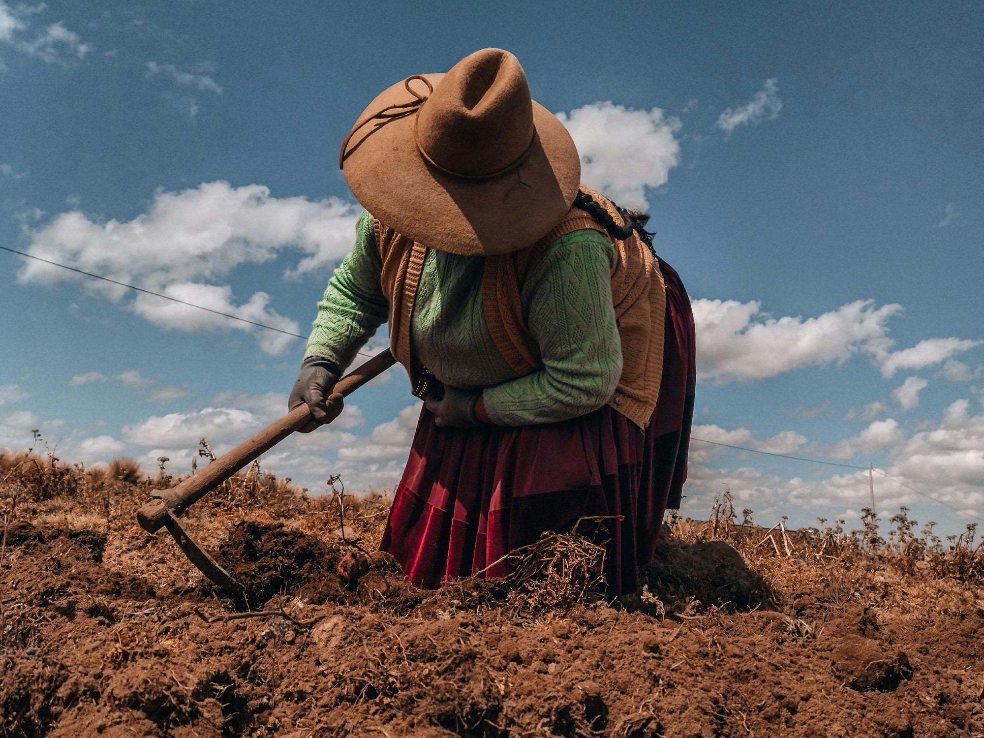 Kvinne arbeider i åker