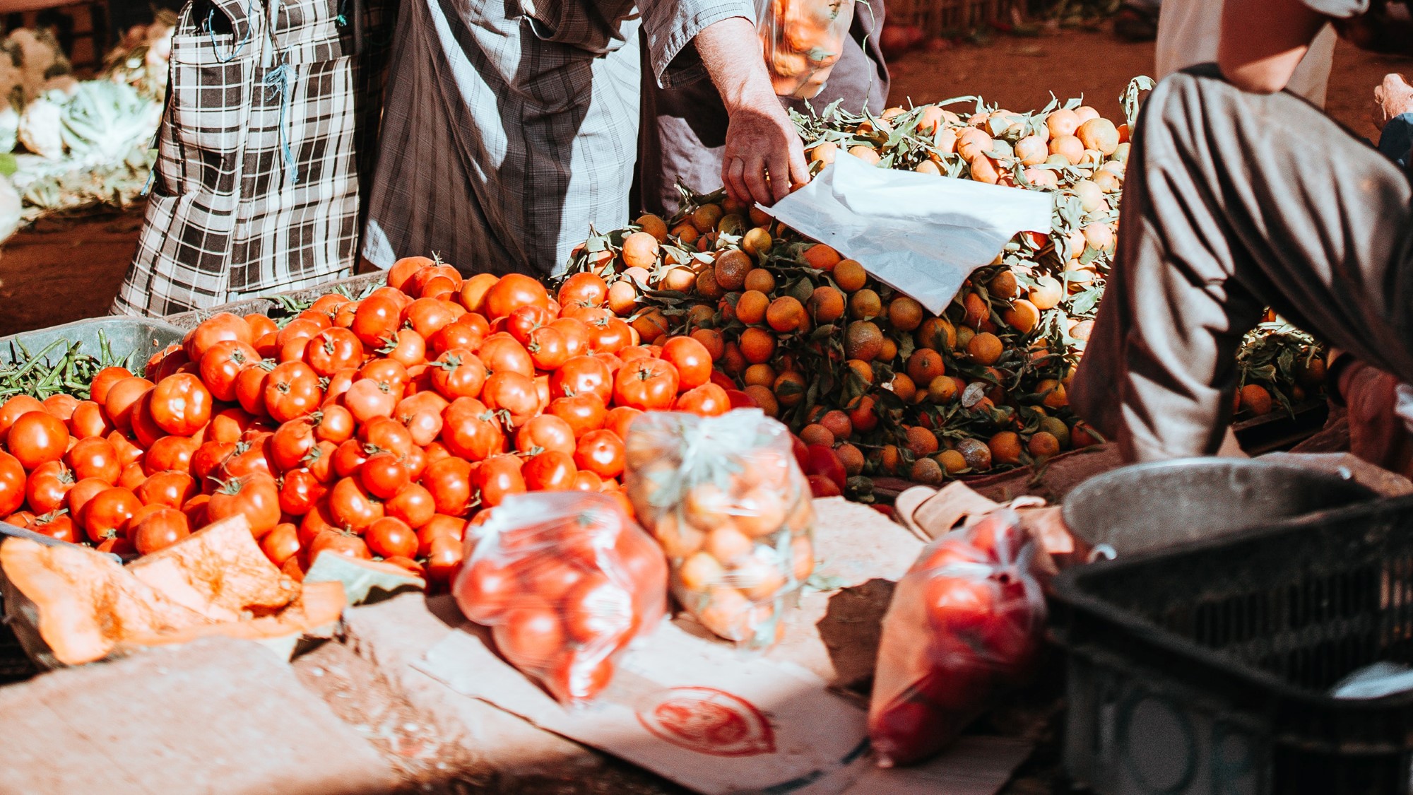 Tomater på marked