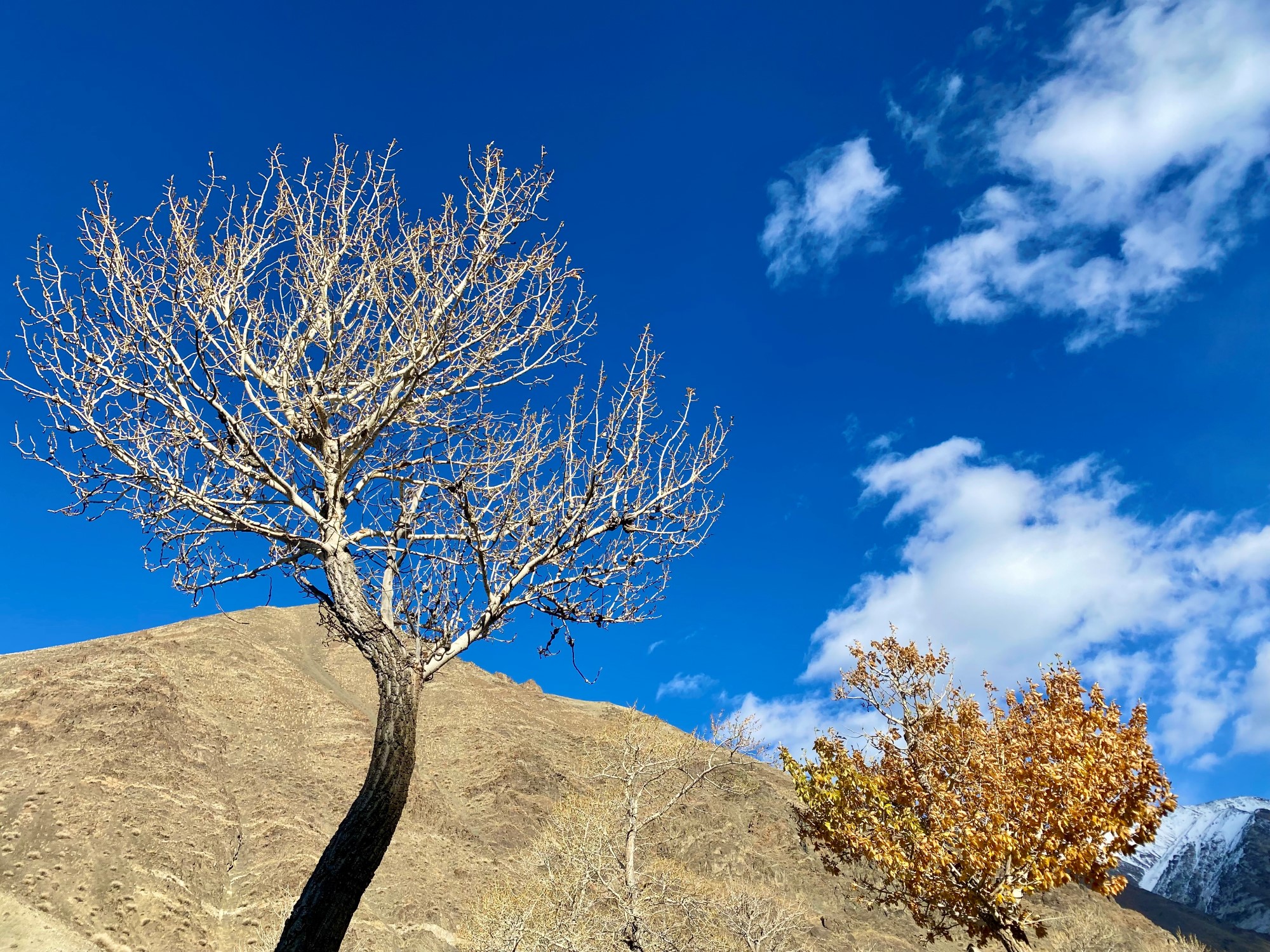 Tre mot himmelen, med en sandhaug i bakgrunnen