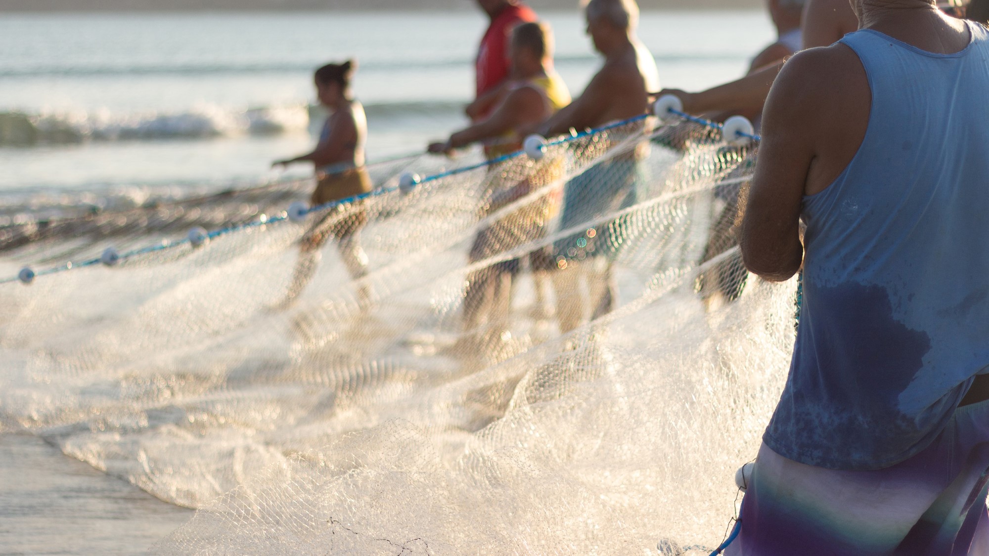 Fiskere trekker garn i strandkanten