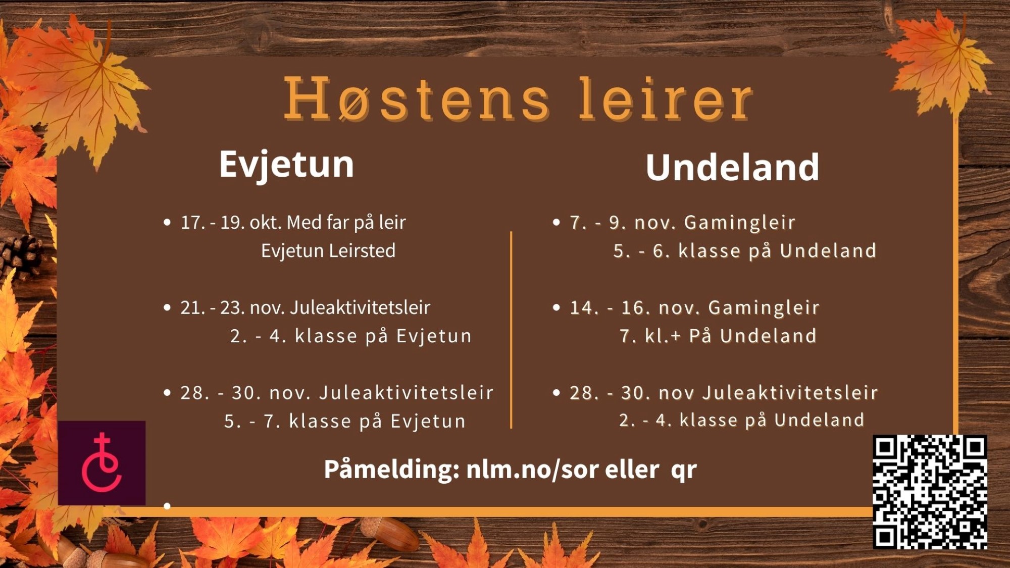 Leirprogram