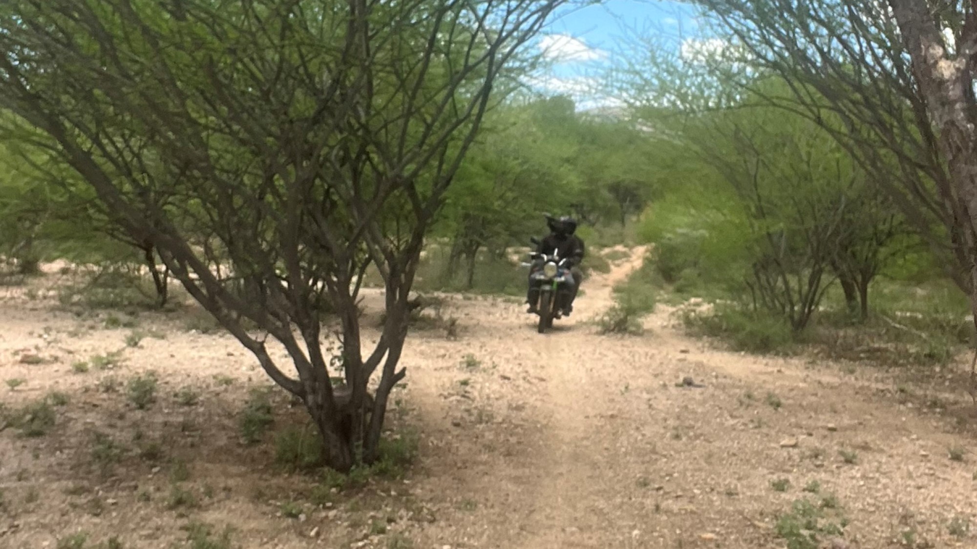 Motorsykkel i bushen