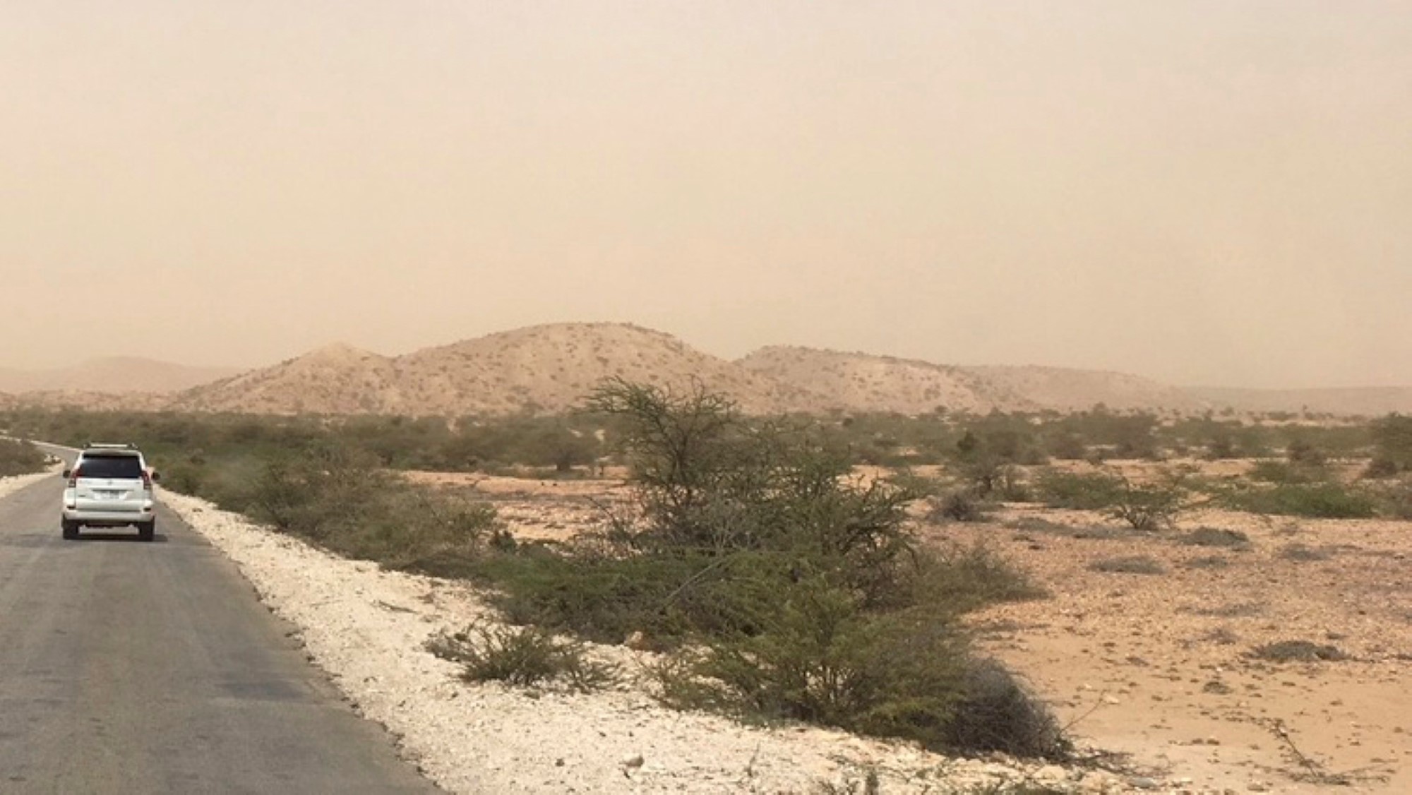En hvit kjører på en vei i ørkenen