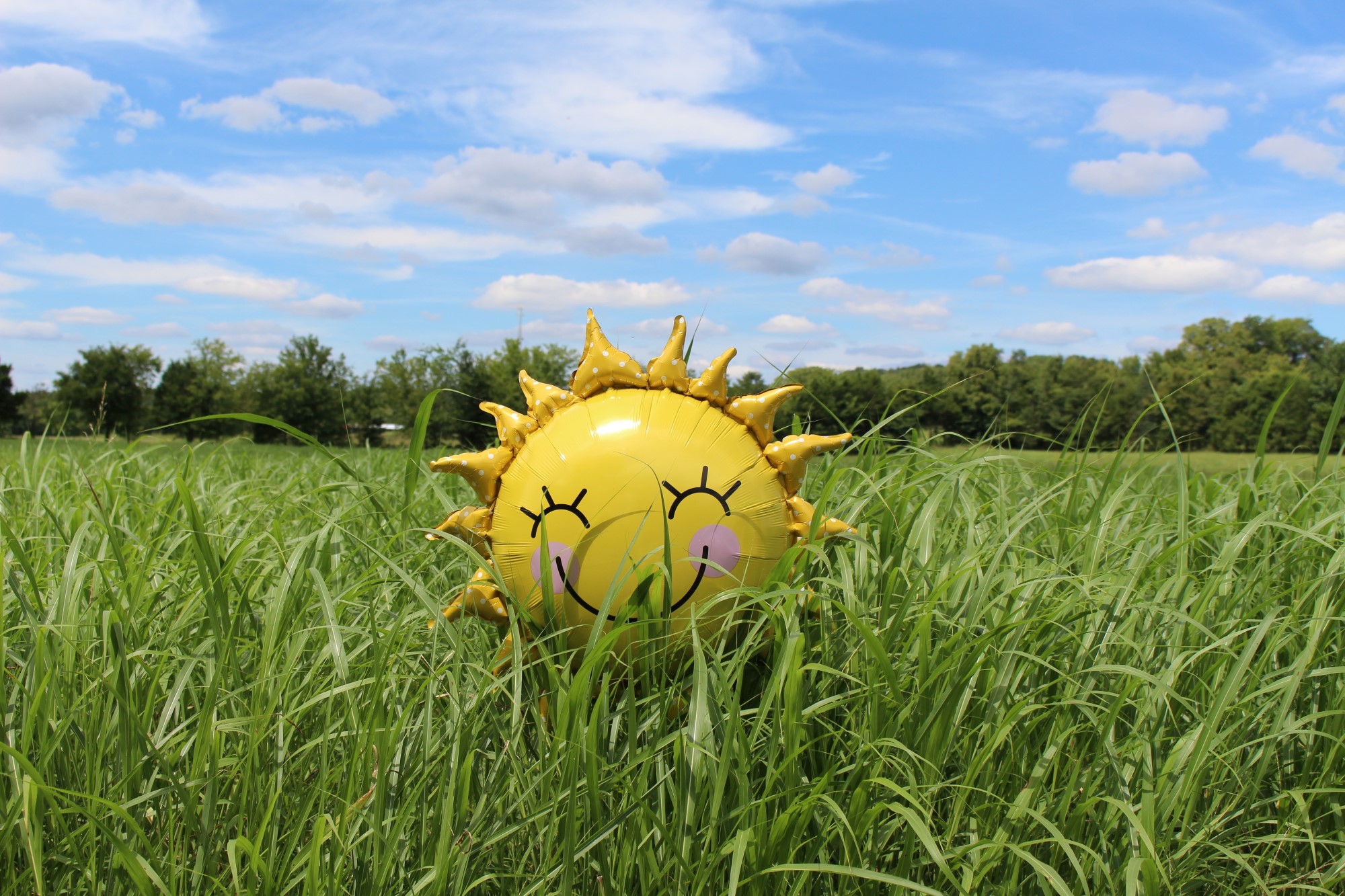 Ballong formet som sol i gress