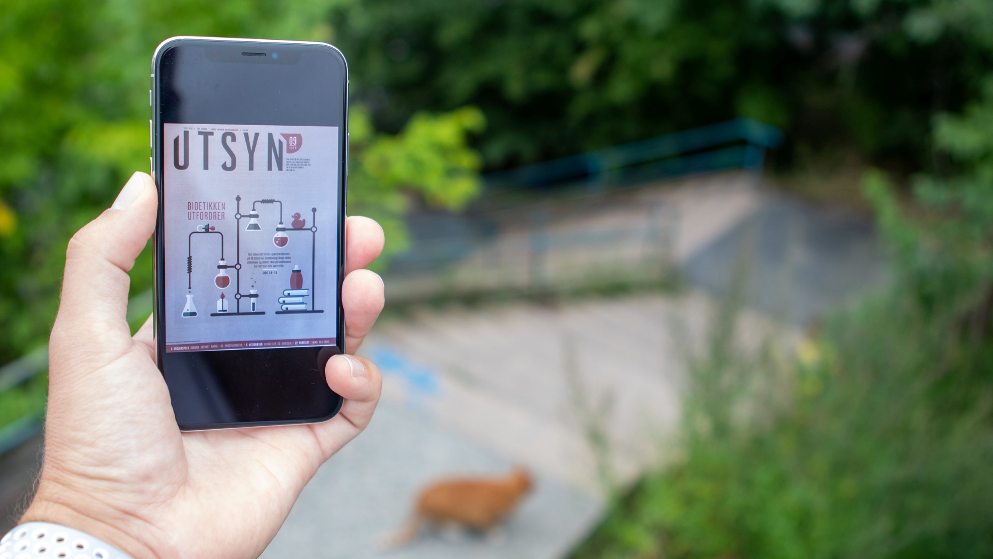 Utsyn-app på mobil i hånd